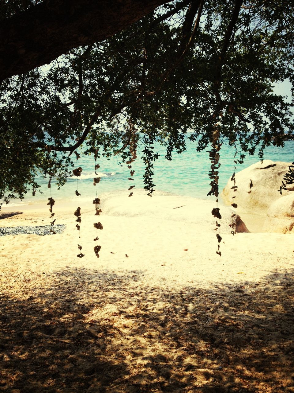 water, tree, sand, beach, tranquility, nature, tranquil scene, shore, beauty in nature, scenics, reflection, sea, lake, animal themes, animals in the wild, outdoors, wildlife, day, bird, sunlight