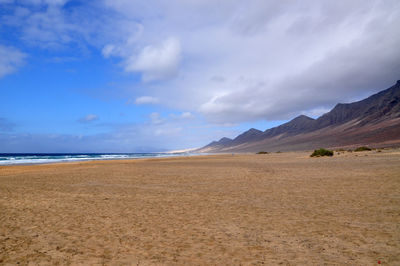 Scenic view of sandy beach against sky