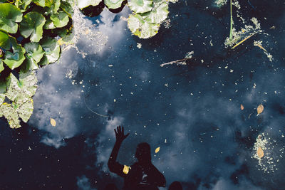 High angle view of man in water