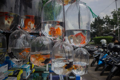 Close-up of bottles