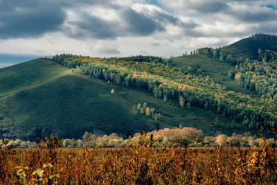 Scenic view of agricultural field against sky