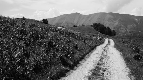 Panoramic shot of road on land against sky