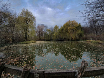 Reflection of trees in lake against sky
