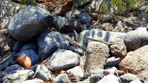 High angle view of stones on beach