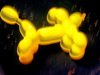 Close-up of illuminated lamp