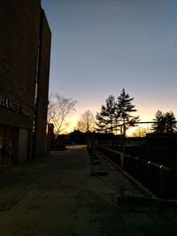 Trees against sky at sunset