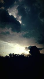 Silhouette of trees against sky