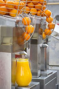 Oranges in juicer