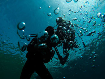 High angle view of bubbles swimming in sea