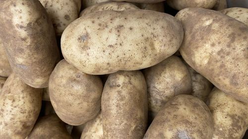 Russet potatoes close up