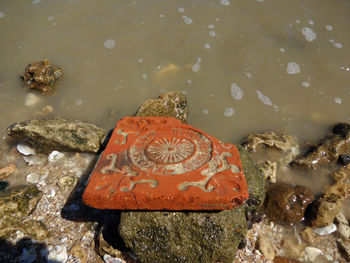 High angle view of broken tile on the beach 