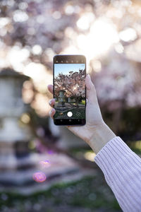 Cropped hand of woman photographing outdoors