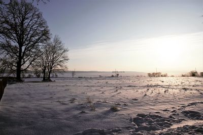 Bare trees on snow field against sky during sunset