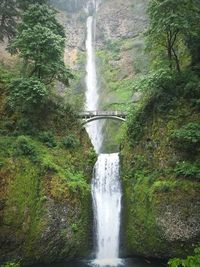 View of waterfall in forest