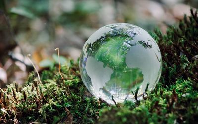 Close-up of crystal ball on field