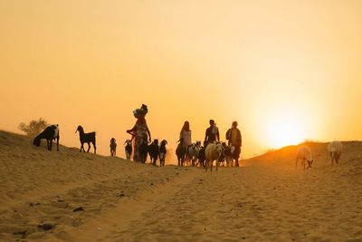 Group of people on beach during sunset