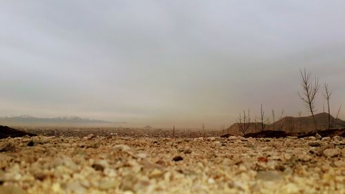 Surface level of barren land against sky