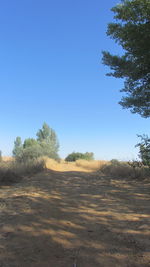 Scenic view of landscape against clear blue sky