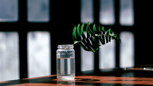 Close-up of plant part in glass jar on table