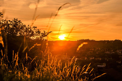 Scenic view of field against orange sky