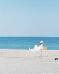 Seagull on beach