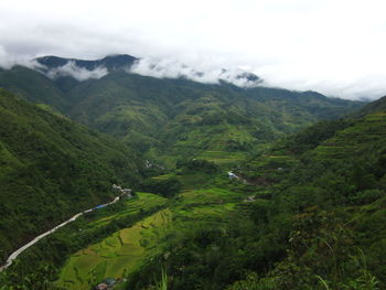 Scenic view of agricultural landscape against sky