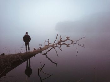 Silhouette of man on tree against sky