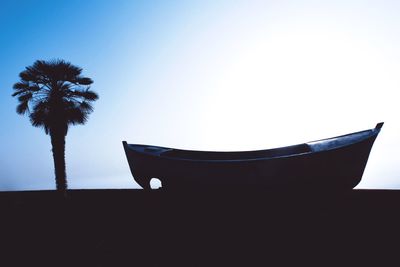 Low angle view of coconut palm trees against clear sky