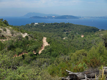 High angle view of trees on landscape against sky
