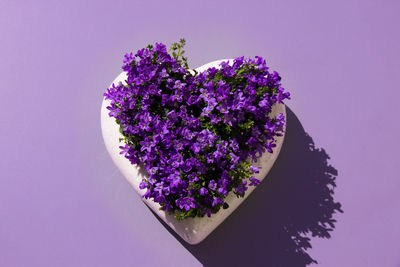 Close-up of fresh purple flowers in heart shaped plant pot