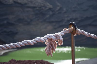 Close-up of rope tied to metal fence