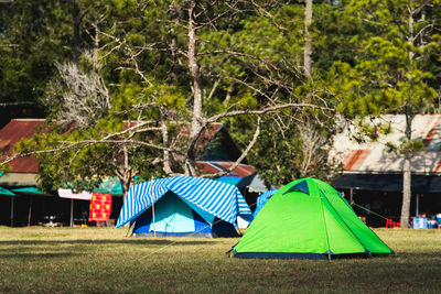 Multi colored tent on field against trees