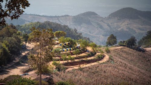 Scenic view of vineyard against mountains