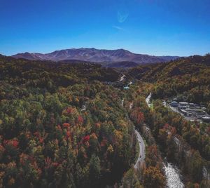 Scenic view of forest against blue sky