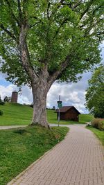 Footpath by trees on field against sky