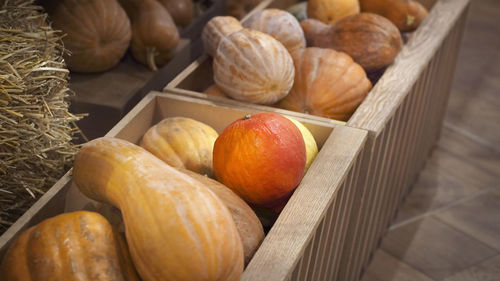 Blurred different pumpkins in boxes at the fair counter    