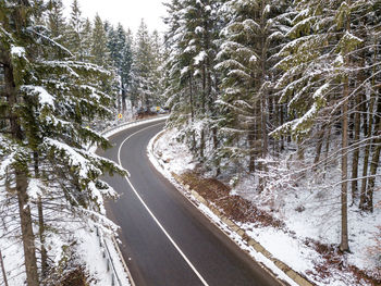 Road amidst trees in forest during winter