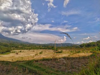 Scenic view of field against sky