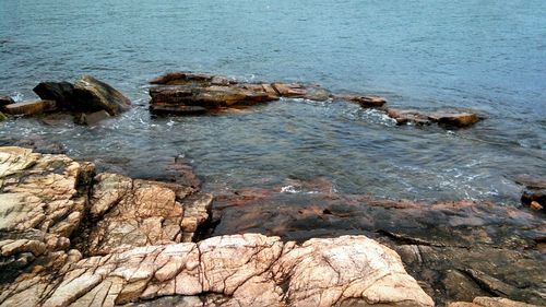 High angle view of rocks in sea