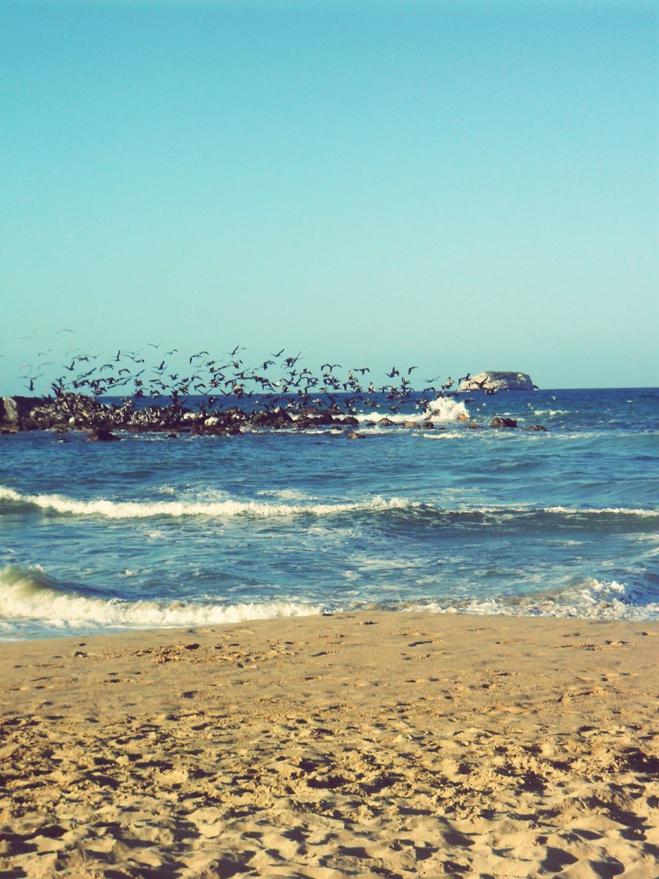 sea, beach, water, clear sky, nature, wave, horizon over water, scenics, outdoors, sky, beauty in nature, tranquility, sand, day, tranquil scene, tide, no people