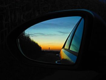 Reflection of trees on side-view mirror