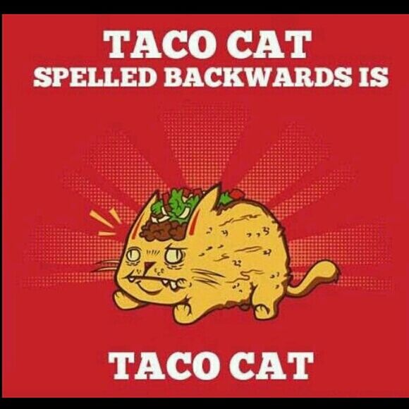 Taco cat