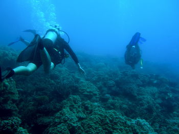 People swimming in sea