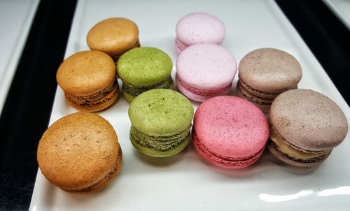 High angle view of multi colored candies in tray