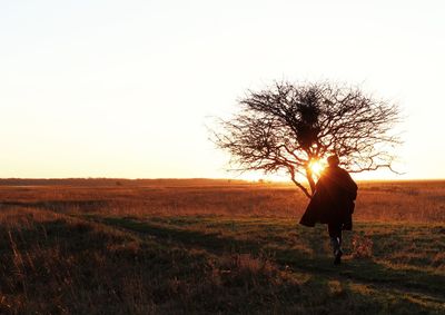 Trees on field against sky at sunset