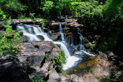 Scenic view of waterfall in forest