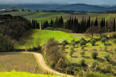 Scenic view of landscape