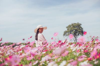 Low angle view of pink flowering plants on land against sky