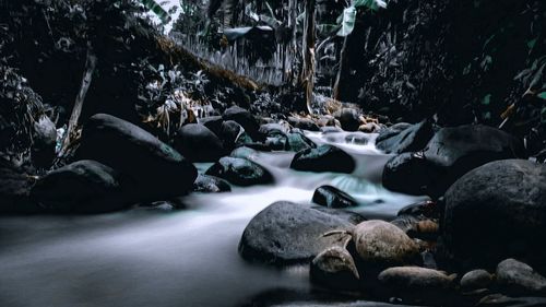 Stream flowing through rocks in forest