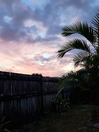 Palm trees against sky during sunset